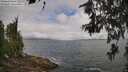 ./images/koeye/fitz-hugh/20260616/fitz-hugh20260616_104501M.jpg