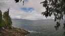 ./images/koeye/fitz-hugh/20260616/fitz-hugh20260616_105001M.jpg