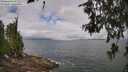 ./images/koeye/fitz-hugh/20260616/fitz-hugh20260616_105501M.jpg