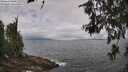 ./images/koeye/fitz-hugh/20260616/fitz-hugh20260616_110002M.jpg