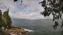 ./images/koeye/fitz-hugh/20260616/fitz-hugh20260616_111502M.jpg