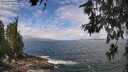 ./images/koeye/fitz-hugh/20260616/fitz-hugh20260616_112501M.jpg