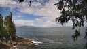 ./images/koeye/fitz-hugh/20260616/fitz-hugh20260616_114502M.jpg