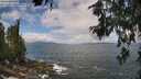./images/koeye/fitz-hugh/20260616/fitz-hugh20260616_115001M.jpg