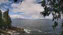 ./images/koeye/fitz-hugh/20260616/fitz-hugh20260616_115501M.jpg