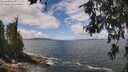 ./images/koeye/fitz-hugh/20260616/fitz-hugh20260616_123001M.jpg
