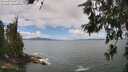./images/koeye/fitz-hugh/20260616/fitz-hugh20260616_130501M.jpg