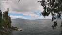 ./images/koeye/fitz-hugh/20260616/fitz-hugh20260616_133501M.jpg