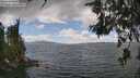 ./images/koeye/fitz-hugh/20260616/fitz-hugh20260616_141501M.jpg
