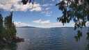 ./images/koeye/fitz-hugh/20260616/fitz-hugh20260616_144502M.jpg