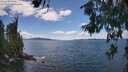 ./images/koeye/fitz-hugh/20260616/fitz-hugh20260616_145001M.jpg