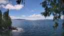 ./images/koeye/fitz-hugh/20260616/fitz-hugh20260616_145501M.jpg