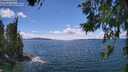 ./images/koeye/fitz-hugh/20260616/fitz-hugh20260616_150001M.jpg
