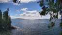 ./images/koeye/fitz-hugh/20260616/fitz-hugh20260616_151001M.jpg