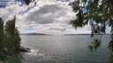./images/koeye/fitz-hugh/20260616/fitz-hugh20260616_154002M.jpg