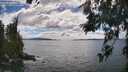 ./images/koeye/fitz-hugh/20260616/fitz-hugh20260616_155501M.jpg