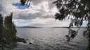 ./images/koeye/fitz-hugh/20260616/fitz-hugh20260616_164501M.jpg
