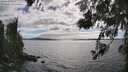 ./images/koeye/fitz-hugh/20260616/fitz-hugh20260616_165001M.jpg