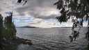 ./images/koeye/fitz-hugh/20260616/fitz-hugh20260616_175001M.jpg