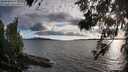 ./images/koeye/fitz-hugh/20260616/fitz-hugh20260616_194501M.jpg