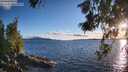 ./images/koeye/fitz-hugh/20260616/fitz-hugh20260616_203001M.jpg