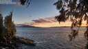 ./images/koeye/fitz-hugh/20260616/fitz-hugh20260616_213501M.jpg