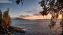 ./images/koeye/fitz-hugh/20260616/fitz-hugh20260616_214001M.jpg