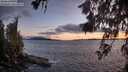 ./images/koeye/fitz-hugh/20260616/fitz-hugh20260616_220001M.jpg