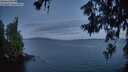 ./images/koeye/fitz-hugh/20260617/fitz-hugh20260617_043501M.jpg