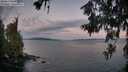 ./images/koeye/fitz-hugh/20260617/fitz-hugh20260617_050001M.jpg