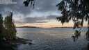 ./images/koeye/fitz-hugh/20260617/fitz-hugh20260617_054001M.jpg