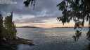 ./images/koeye/fitz-hugh/20260617/fitz-hugh20260617_054501M.jpg