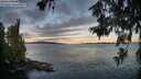 ./images/koeye/fitz-hugh/20260617/fitz-hugh20260617_055001M.jpg