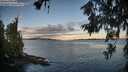 ./images/koeye/fitz-hugh/20260617/fitz-hugh20260617_055501M.jpg