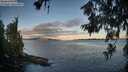 ./images/koeye/fitz-hugh/20260617/fitz-hugh20260617_060001M.jpg