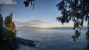 ./images/koeye/fitz-hugh/20260617/fitz-hugh20260617_062002M.jpg