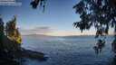 ./images/koeye/fitz-hugh/20260617/fitz-hugh20260617_062501M.jpg
