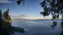 ./images/koeye/fitz-hugh/20260617/fitz-hugh20260617_063002M.jpg