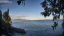./images/koeye/fitz-hugh/20260617/fitz-hugh20260617_063501M.jpg