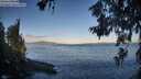 ./images/koeye/fitz-hugh/20260617/fitz-hugh20260617_064001M.jpg