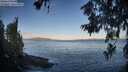 ./images/koeye/fitz-hugh/20260617/fitz-hugh20260617_064501M.jpg