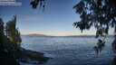 ./images/koeye/fitz-hugh/20260617/fitz-hugh20260617_065501M.jpg