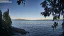 ./images/koeye/fitz-hugh/20260617/fitz-hugh20260617_070001M.jpg