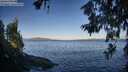 ./images/koeye/fitz-hugh/20260617/fitz-hugh20260617_070501M.jpg