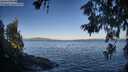 ./images/koeye/fitz-hugh/20260617/fitz-hugh20260617_071001M.jpg