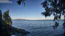 ./images/koeye/fitz-hugh/20260617/fitz-hugh20260617_071501M.jpg