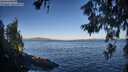 ./images/koeye/fitz-hugh/20260617/fitz-hugh20260617_072002M.jpg