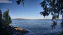 ./images/koeye/fitz-hugh/20260617/fitz-hugh20260617_073501M.jpg