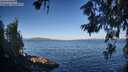 ./images/koeye/fitz-hugh/20260617/fitz-hugh20260617_074001M.jpg