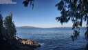 ./images/koeye/fitz-hugh/20260617/fitz-hugh20260617_074502M.jpg